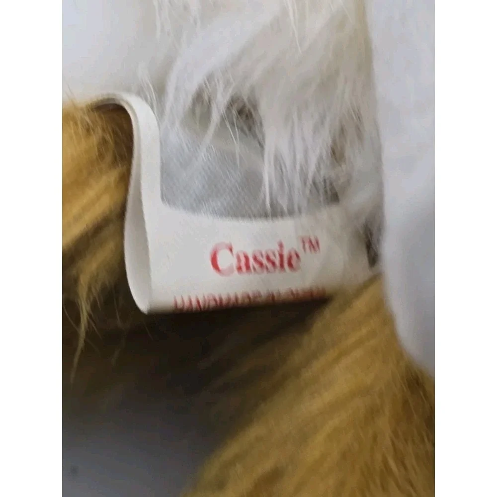 2000 Ty Beanie Baby 